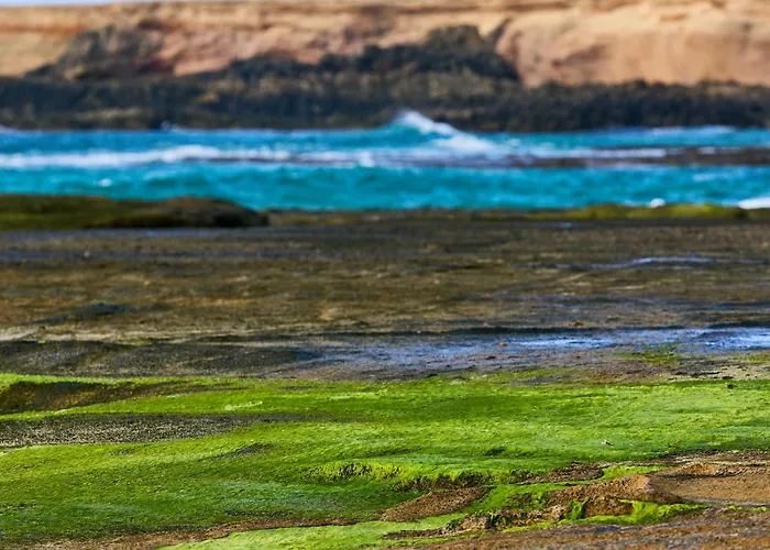 Lagos Apartment Roque